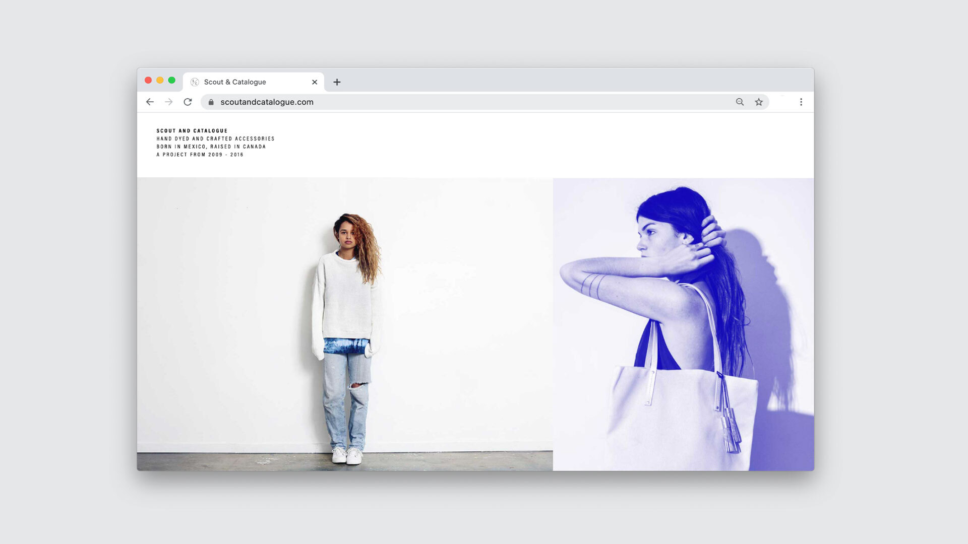 Scwebsite 02